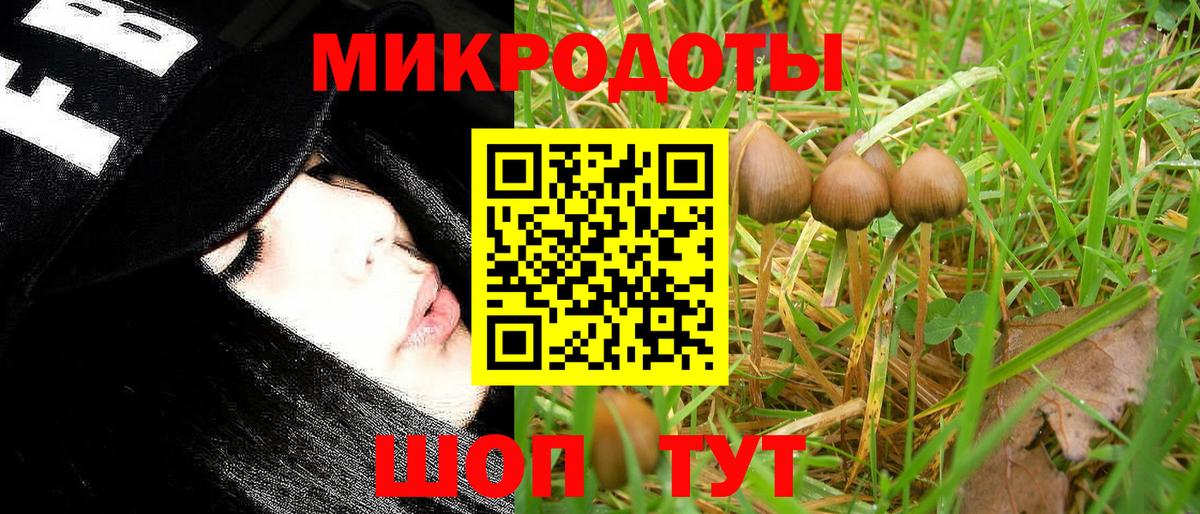 Галлюциногенные грибы Cubensis  Вход с VPN  Артём 